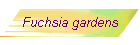 Fuchsia gardens