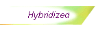 Hybridized