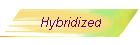 Hybridized