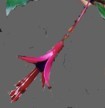 fuchsias fuchsia  Fuchsias fuchsia fuchsias fuchsias