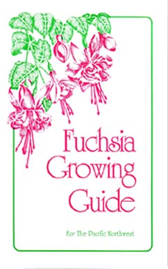 fuchsias fuchsia  Fuchsias fuchsia fuchsias fuchsias