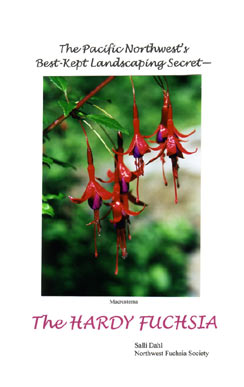fuchsias fuchsia Fuchsias fuchsia fuchsias fuchsias