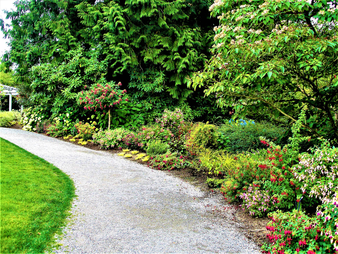 Driving Directions to Bellevue Botanical Garden From I-405, take the NE 8th Street East exit, turn right on 120th Avenue .Go south 3/4 mile to the first light and turn left onto Main Street.Go up the hill about 3 blocks The garden is on your right.